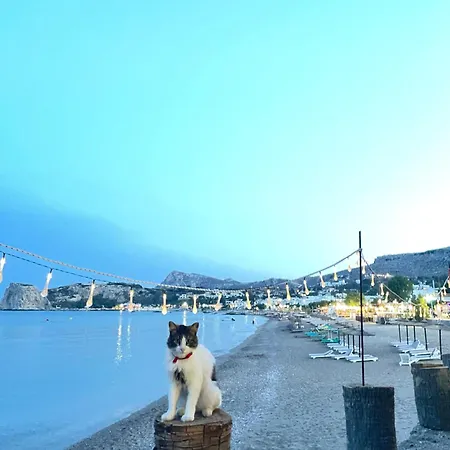 Alas דירה ארכאנגלוס