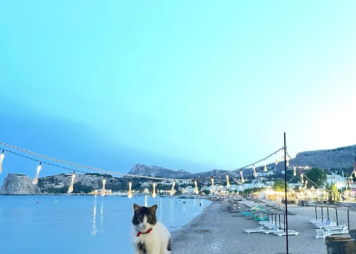 Alas 아파트 아크앤젤로스